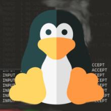 Penguin - maskot OS Linux